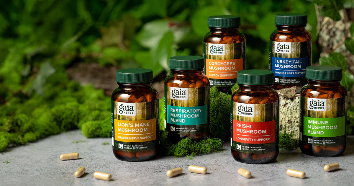 Best Mushroom Supplements For Gut Health